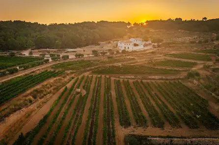 masia cabellut weddings