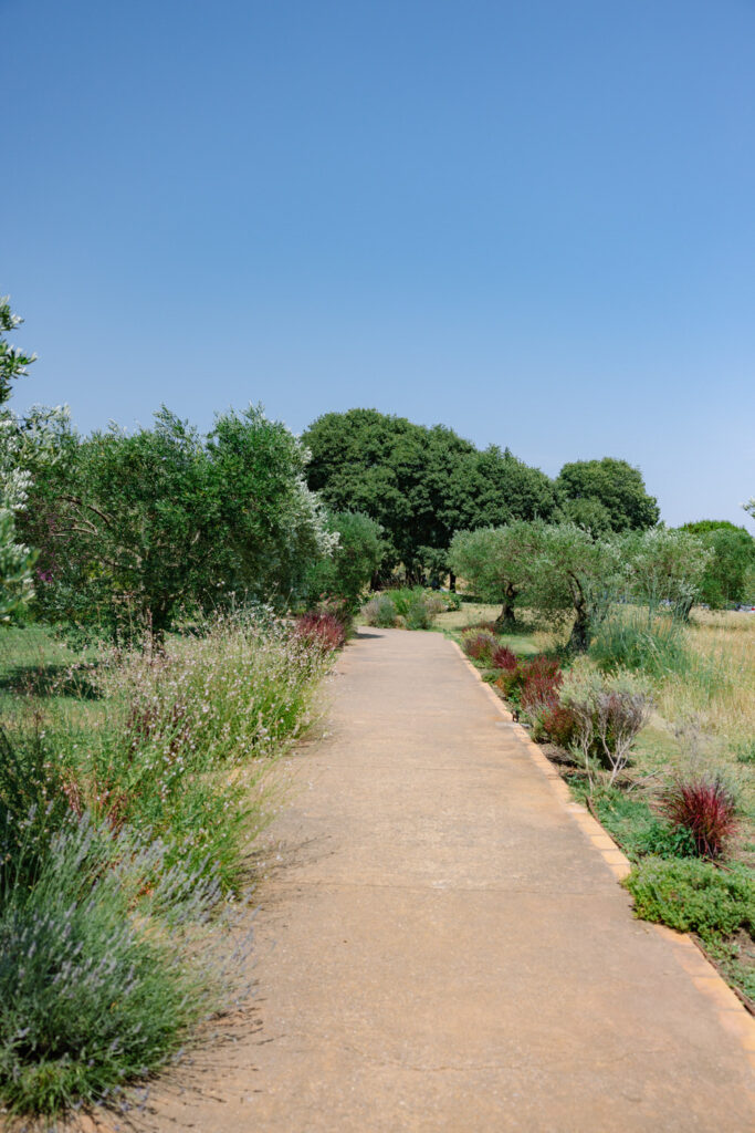 Mas Terrats finca de bodas en Girona vista de los olivos