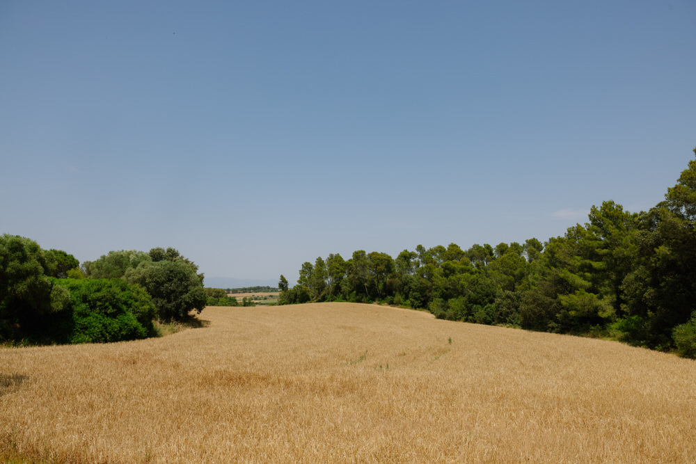 Mas Terrats finca de bodas en Girona vista del campo